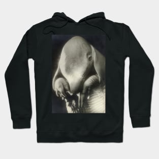 pere ubu 1936 - Dora Maar Hoodie